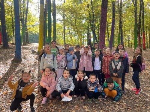 EXCURSIE-–CASTELUL-VRAJITOAREI1