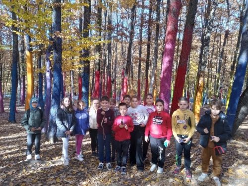 EXCURSIE-–CASTELUL-VRAJITOAREI3
